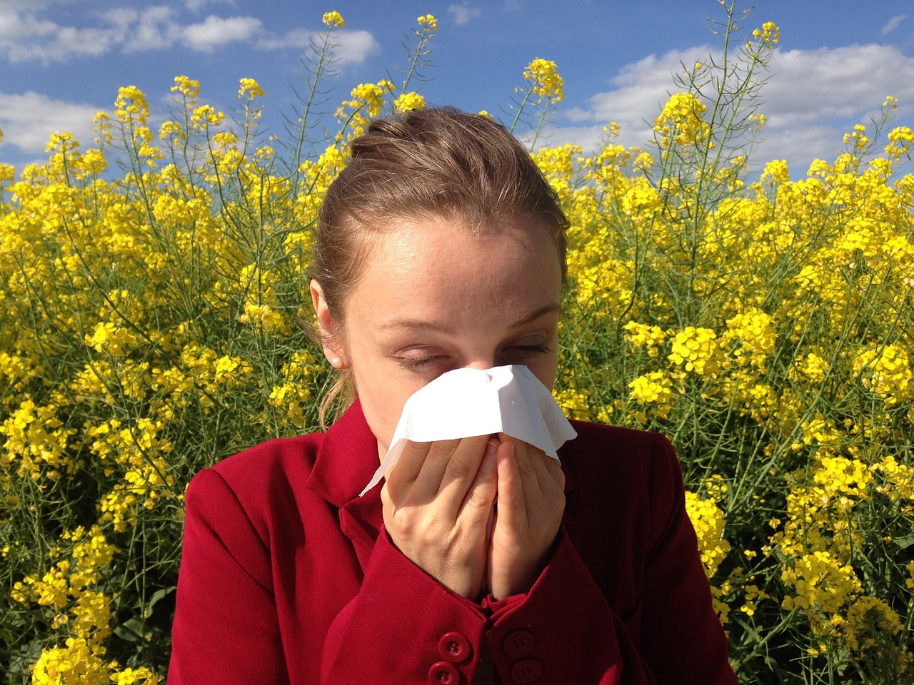 Allergy Relief